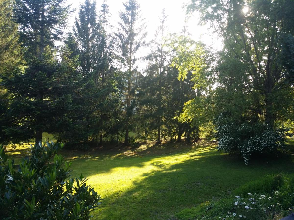Schwarzwald - Villa Appartments Titisee エクステリア 写真