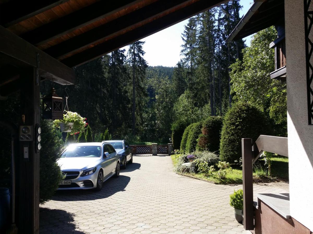 Schwarzwald - Villa Appartments Titisee エクステリア 写真