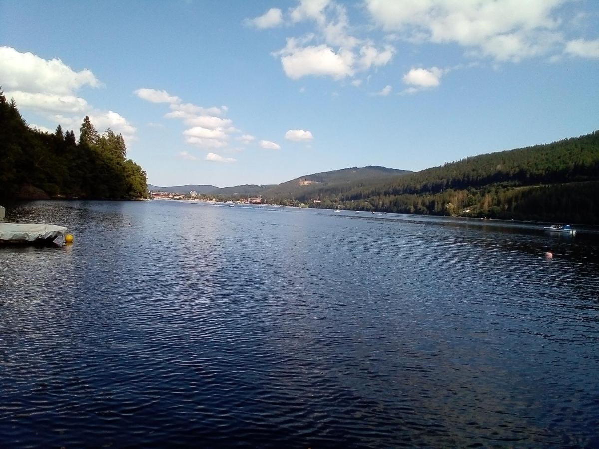Schwarzwald - Villa Appartments Titisee エクステリア 写真