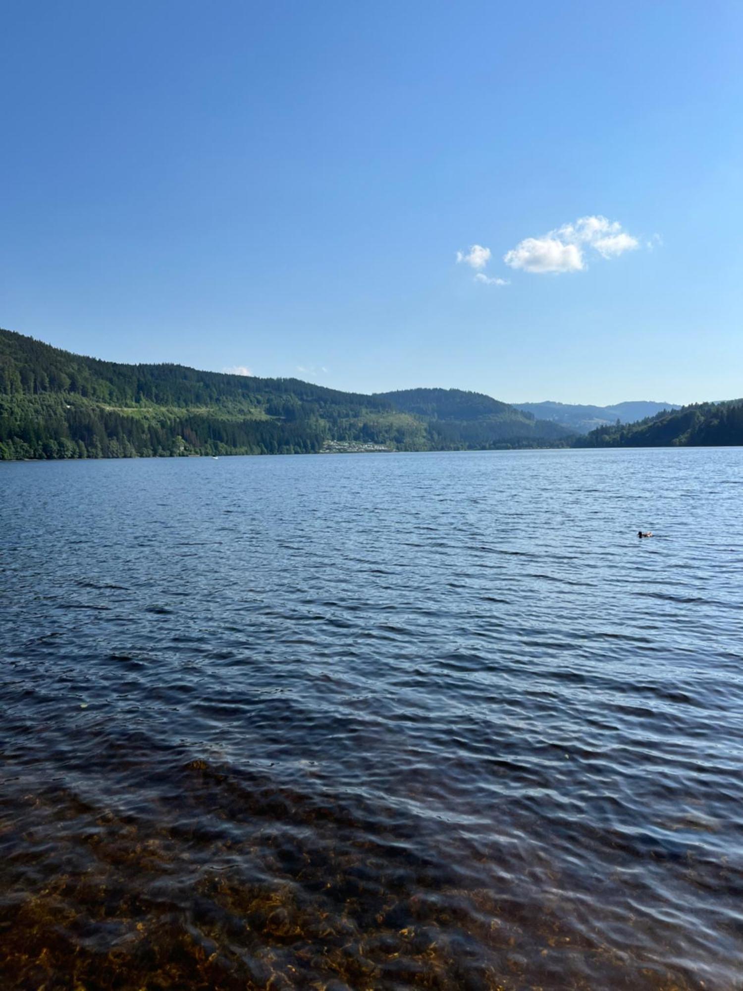 Schwarzwald - Villa Appartments Titisee エクステリア 写真