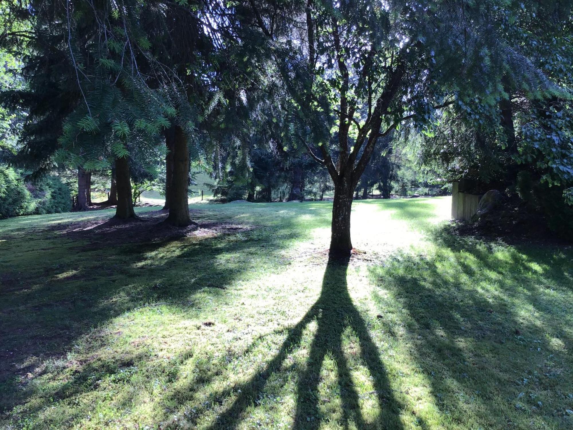 Schwarzwald - Villa Appartments Titisee エクステリア 写真