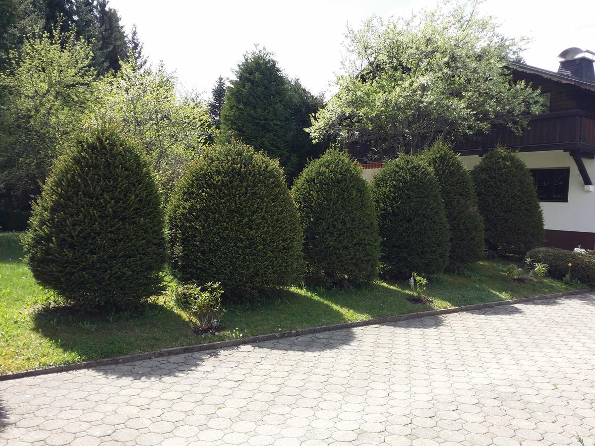 Schwarzwald - Villa Appartments Titisee エクステリア 写真