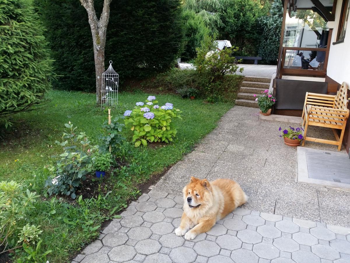 Schwarzwald - Villa Appartments Titisee エクステリア 写真