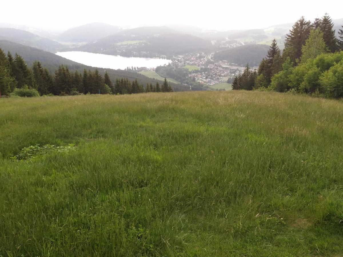Schwarzwald - Villa Appartments Titisee エクステリア 写真