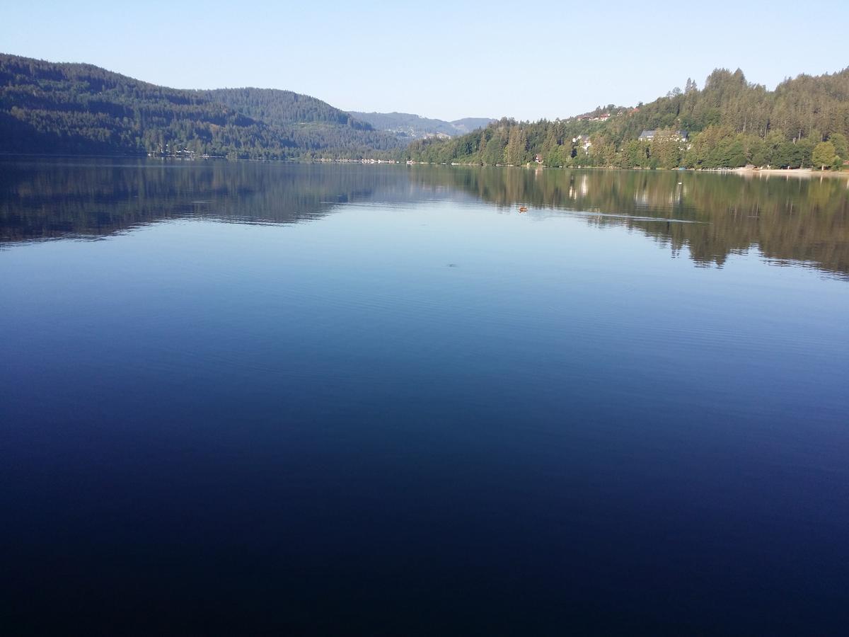 Schwarzwald - Villa Appartments Titisee エクステリア 写真