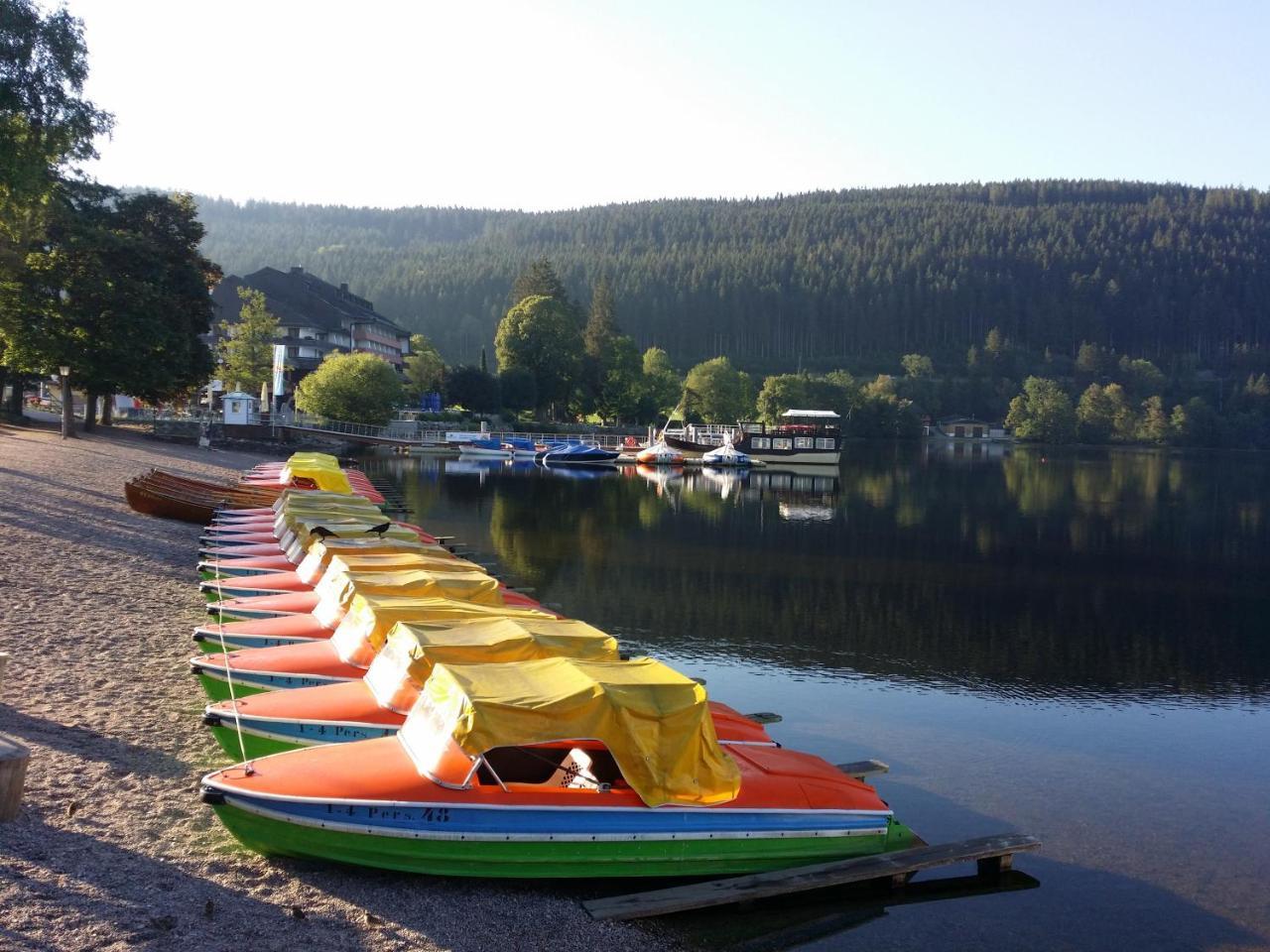 Schwarzwald - Villa Appartments Titisee エクステリア 写真