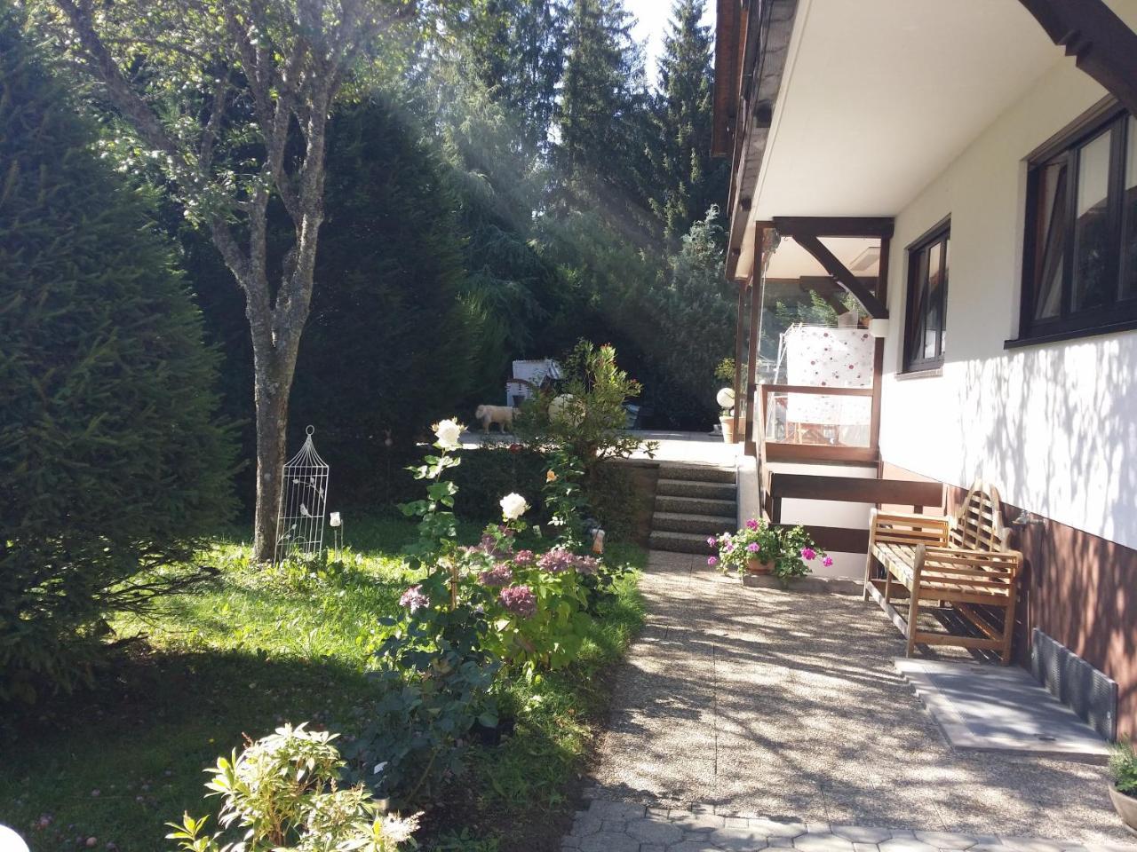 Schwarzwald - Villa Appartments Titisee エクステリア 写真