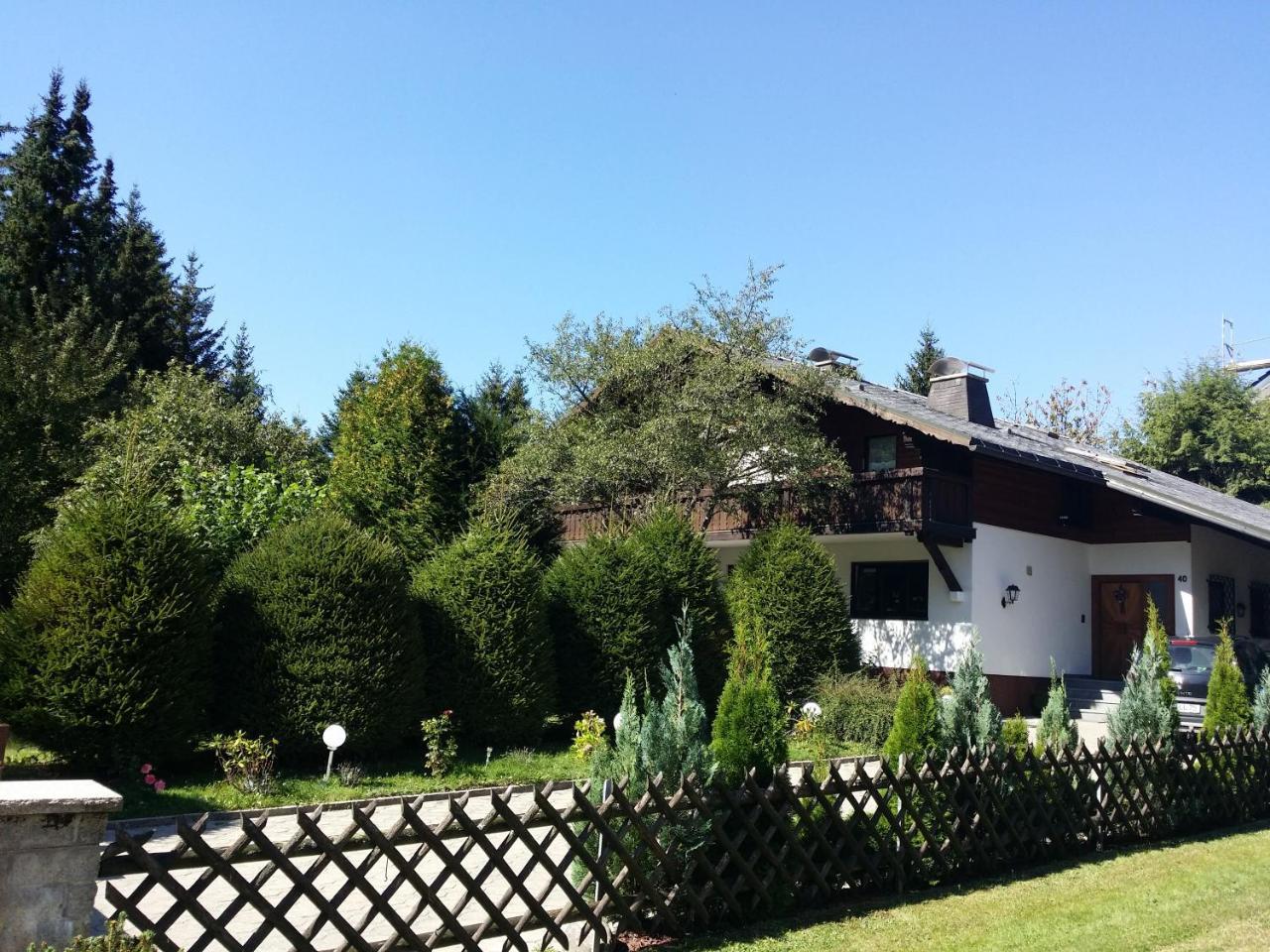 Schwarzwald - Villa Appartments Titisee エクステリア 写真