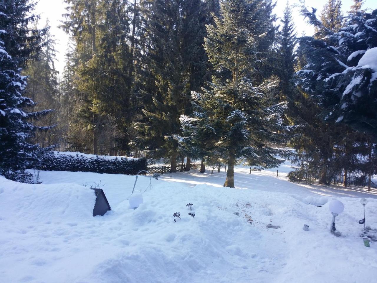 Schwarzwald - Villa Appartments Titisee エクステリア 写真