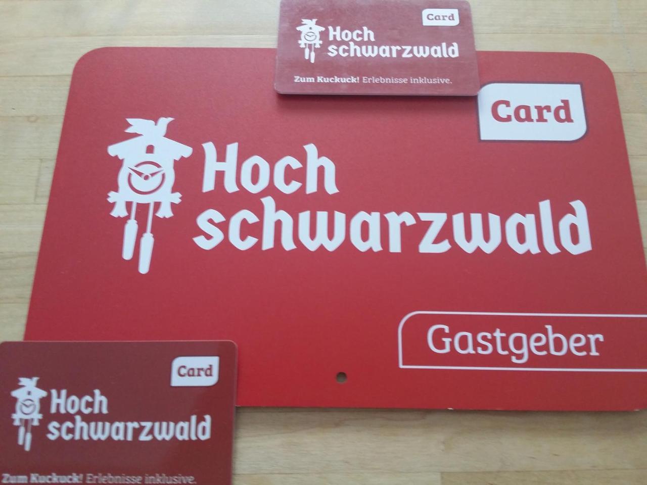 Schwarzwald - Villa Appartments Titisee エクステリア 写真